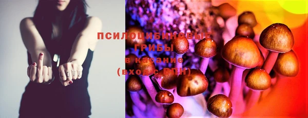 герыч Бугульма