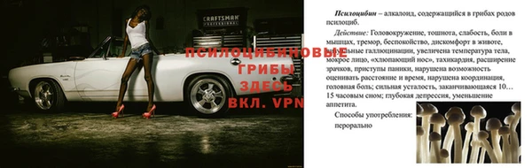 герыч Бугульма