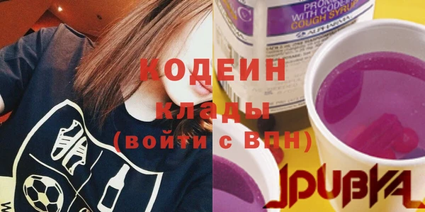 ешки Бородино