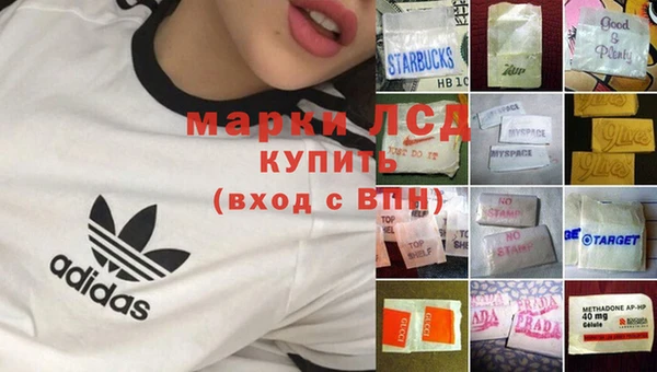 ешки Бородино