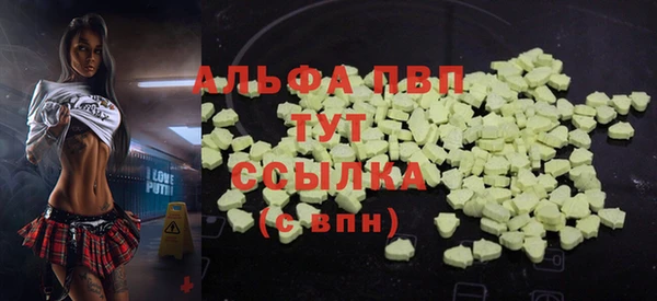 ешки Бородино