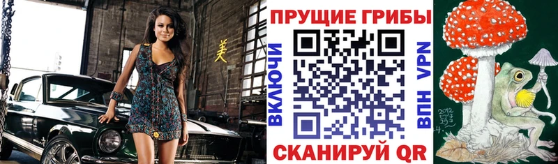 Псилоцибиновые грибы GOLDEN TEACHER  МЕГА ONION  Гремячинск 